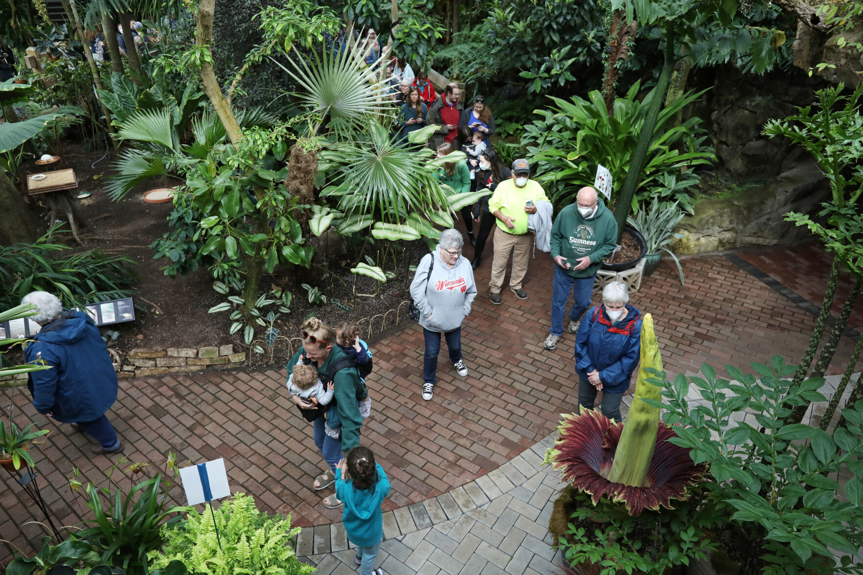 2022050507CorpseFlower0190AJA-05052022140849